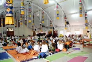 20091201DSC 3866 CMP WM001.jpg