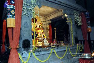 20091201DSC 3923 CMP WM001.jpg