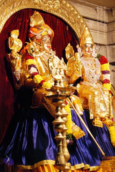 File:20091201DSC 3933 CMP WM001.jpg