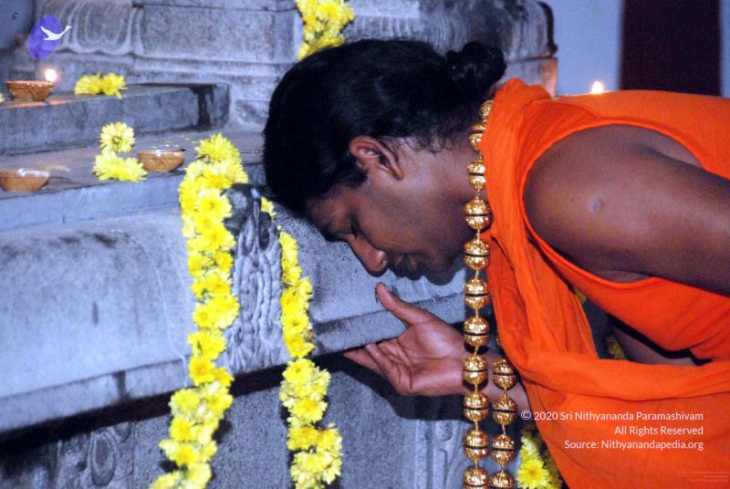 File:20091201DSC 3937 CMP WM001.jpg