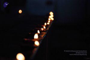 20091201DSC 3946 CMP WM001.jpg