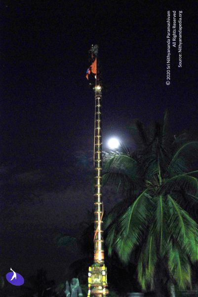 File:20091201DSC 3948 CMP WM001.jpg