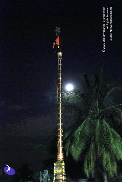 File:20091201DSC 3949 CMP WM001.jpg