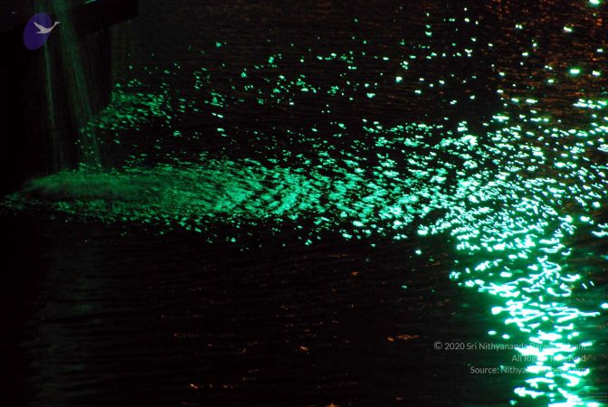 20091201DSC 4002 CMP WM001.jpg