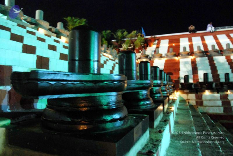 File:20091201DSC 4025 CMP WM001.jpg