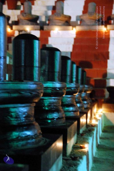 File:20091201DSC 4027 CMP WM001.jpg