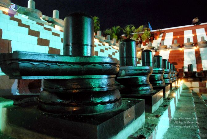 20091201DSC 4028 CMP WM001.jpg