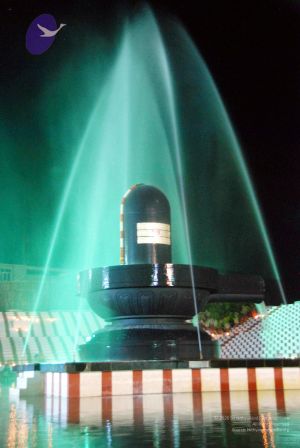 20091201DSC 4030 CMP WM001.jpg