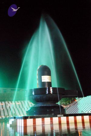 20091201DSC 4031 CMP WM001.jpg