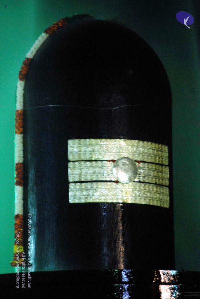 File:20091201DSC 4035 CMP WM001.jpg