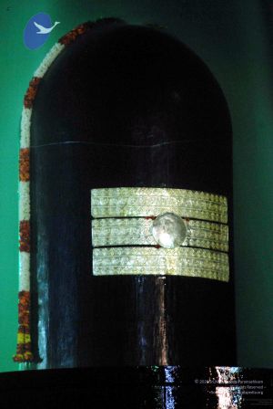 20091201DSC 4036 CMP WM001.jpg