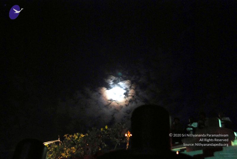 File:20091201DSC 4037 CMP WM001.jpg