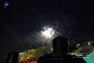 20091201DSC 4038 CMP WM001.jpg