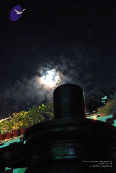 File:20091201DSC 4039 CMP WM001.jpg