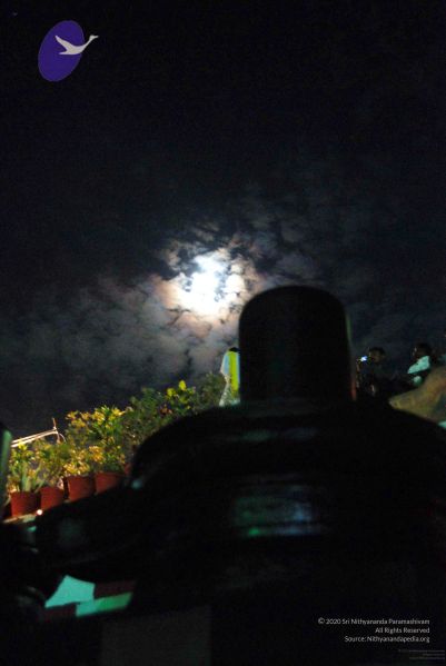 File:20091201DSC 4040 CMP WM001.jpg