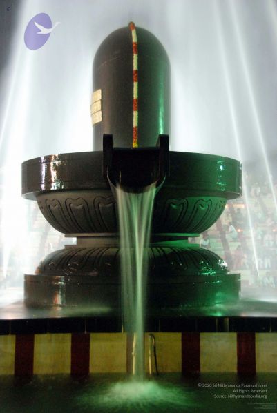 File:20091201DSC 4046 CMP WM001.jpg