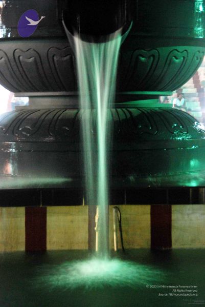 File:20091201DSC 4048 CMP WM001.jpg