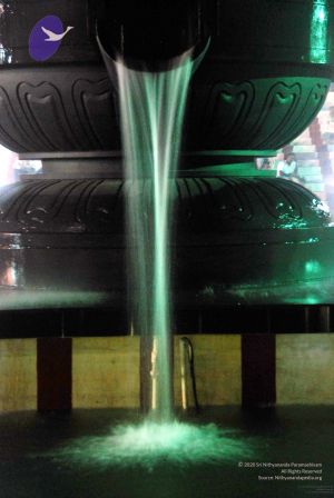 20091201DSC 4049 CMP WM001.jpg