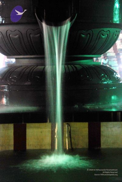 File:20091201DSC 4049 CMP WM001.jpg