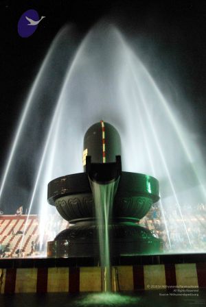 20091201DSC 4051 CMP WM001.jpg