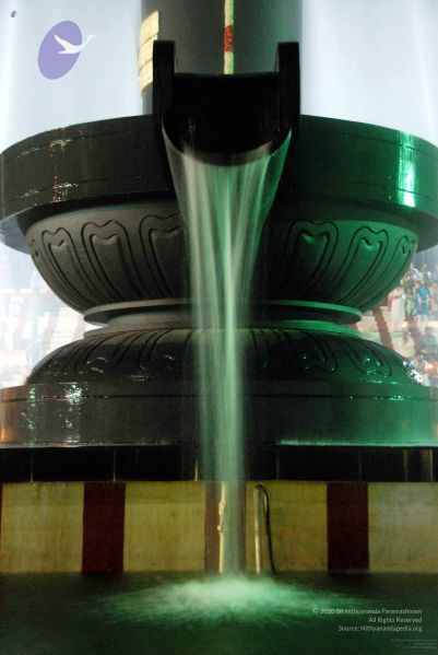 File:20091201DSC 4055 CMP WM001.jpg