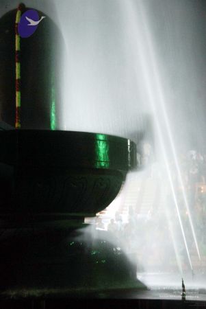 20091201DSC 4057 CMP WM001.jpg