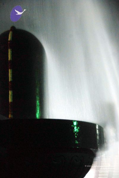 File:20091201DSC 4060 CMP WM001.jpg