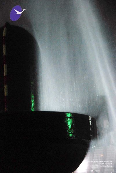 File:20091201DSC 4061 CMP WM001.jpg