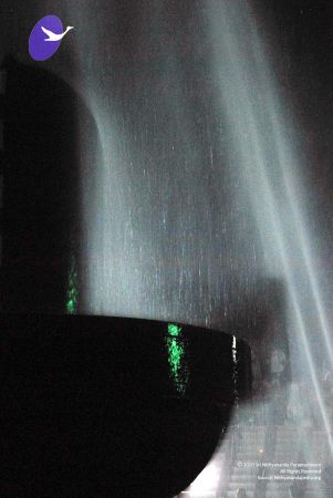 20091201DSC 4062 CMP WM001.jpg