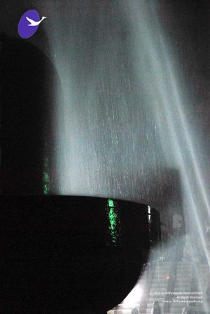 20091201DSC 4063 CMP WM001.jpg