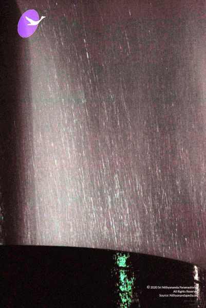 File:20091201DSC 4066 CMP WM001.jpg