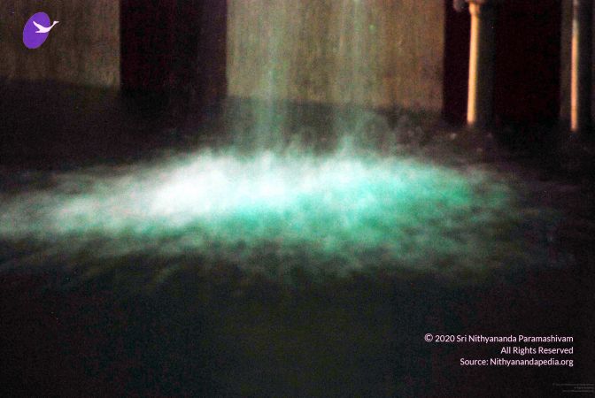 20091201DSC 4070 CMP WM001.jpg