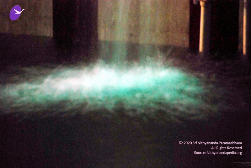 File:20091201DSC 4071 CMP WM001.jpg