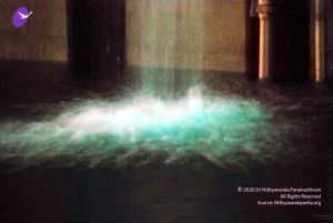 20091201DSC 4073 CMP WM001.jpg