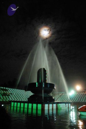 20091201DSC 4080 CMP WM001.jpg