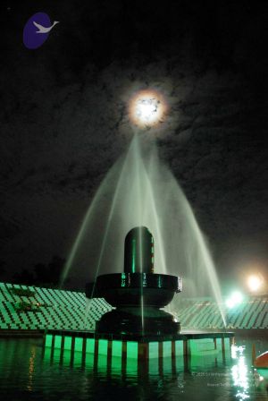 20091201DSC 4082 CMP WM001.jpg