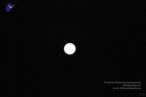 20091201DSC 4089 CMP WM001.jpg