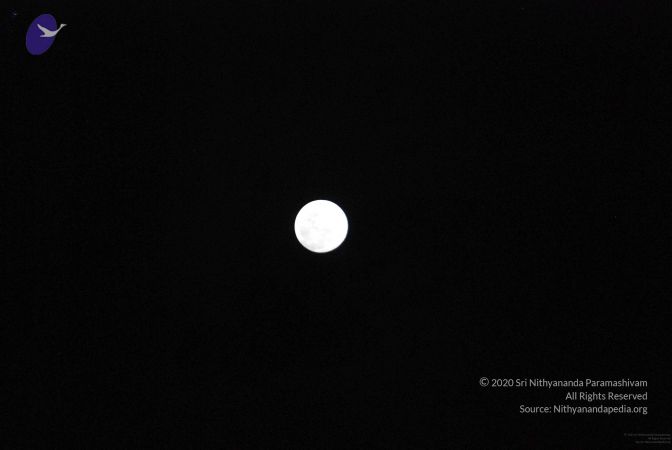 20091201DSC 4089 CMP WM001.jpg