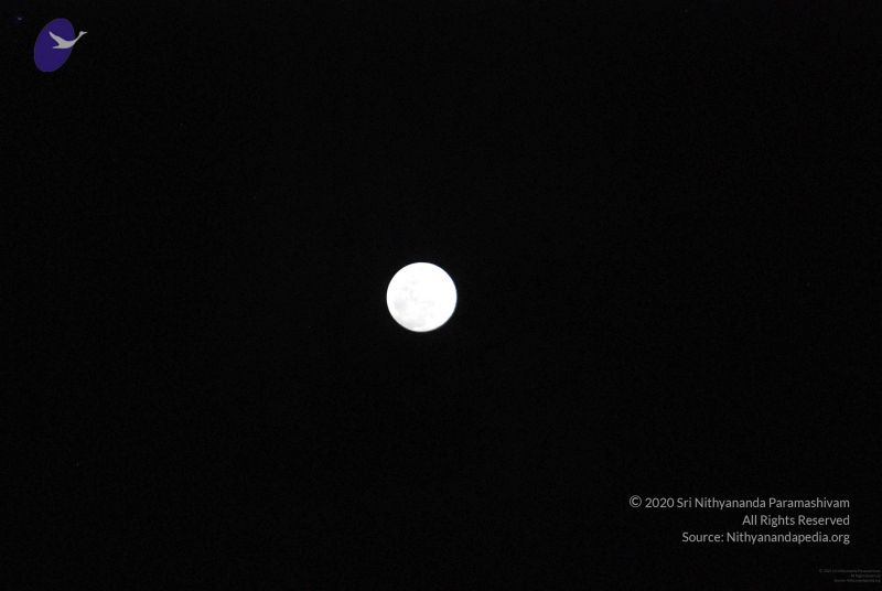 File:20091201DSC 4089 CMP WM001.jpg