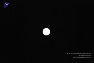 20091201DSC 4090 CMP WM001.jpg