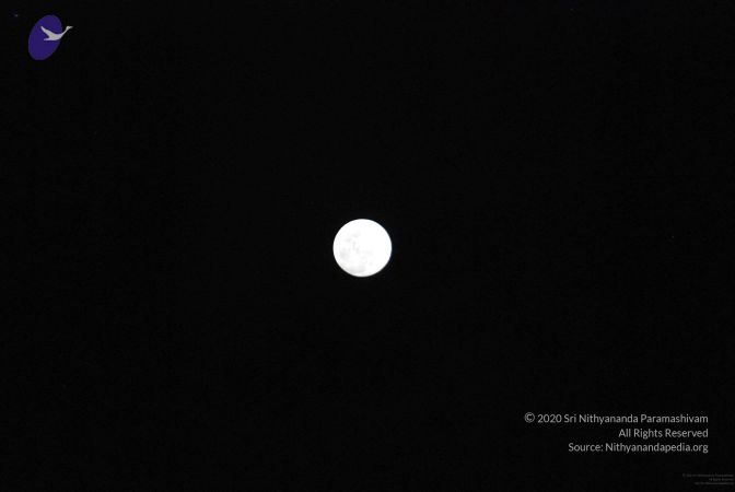 20091201DSC 4090 CMP WM001.jpg