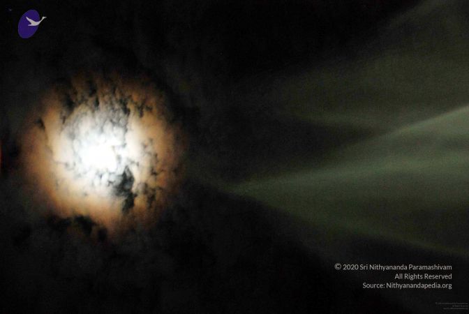 20091201DSC 4092 CMP WM001.jpg