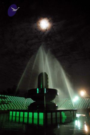 20091201DSC 4099 CMP WM001.jpg