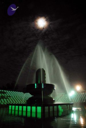 20091201DSC 4100 CMP WM001.jpg