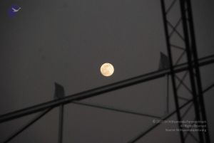 20091201 Photo 1001 1EFKLiK8gWS-aTD tEiPu890vovxREbKq.JPG