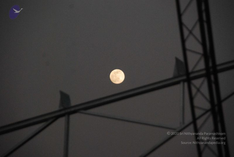 File:20091201 Photo 1001 1EFKLiK8gWS-aTD tEiPu890vovxREbKq.JPG