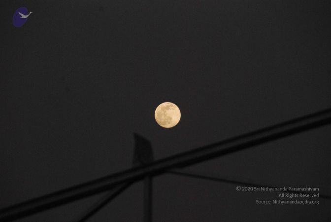 20091201 Photo 1003 1qPVxdDSlm4aFZ6Viu7p6Gqv8xbufa ga.JPG