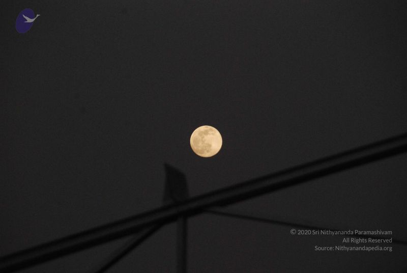 File:20091201 Photo 1003 1qPVxdDSlm4aFZ6Viu7p6Gqv8xbufa ga.JPG