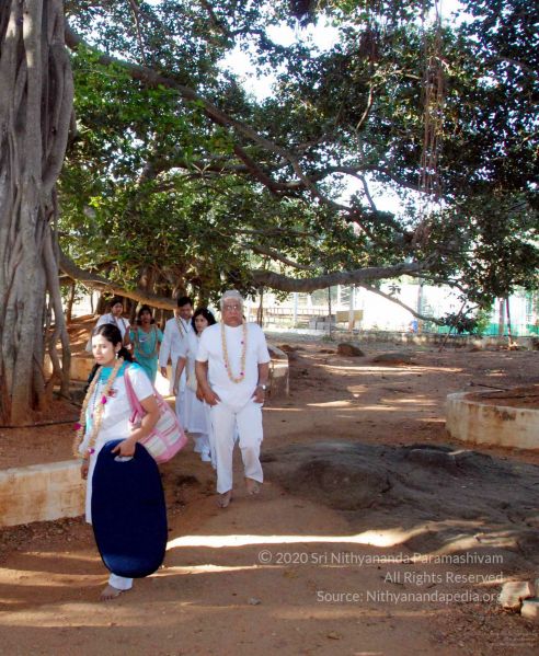 File:20091202DSC 4166 CMP WM001.jpg