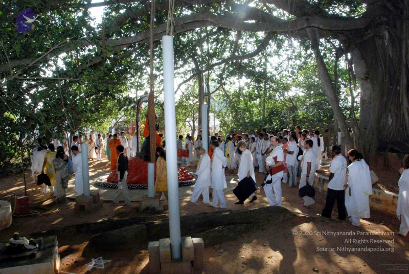 File:20091202DSC 4169 CMP WM001.jpg